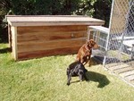 Ella and Baker - Manitoba, Canada